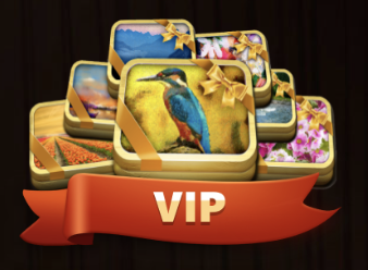 vip.PNG